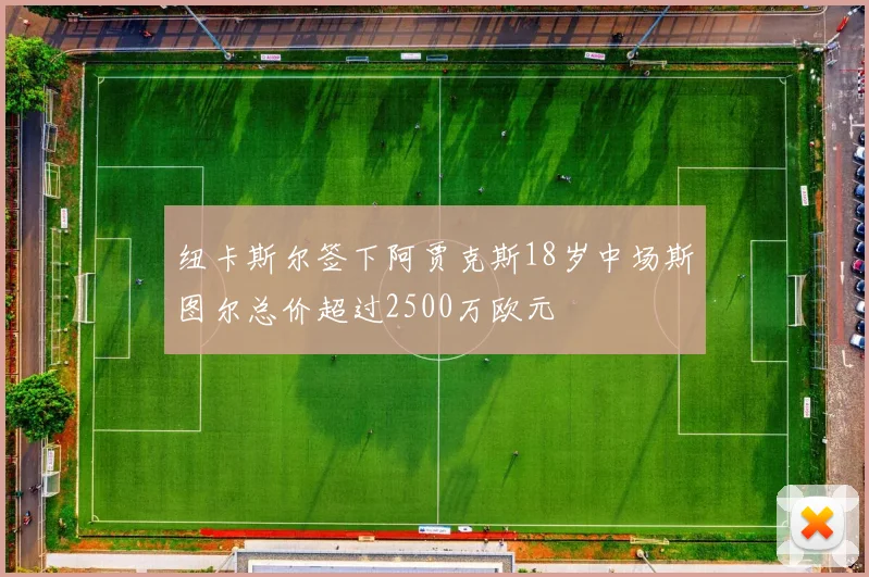 纽卡斯尔签下阿贾克斯18岁中场斯图尔总价超过2500万欧元