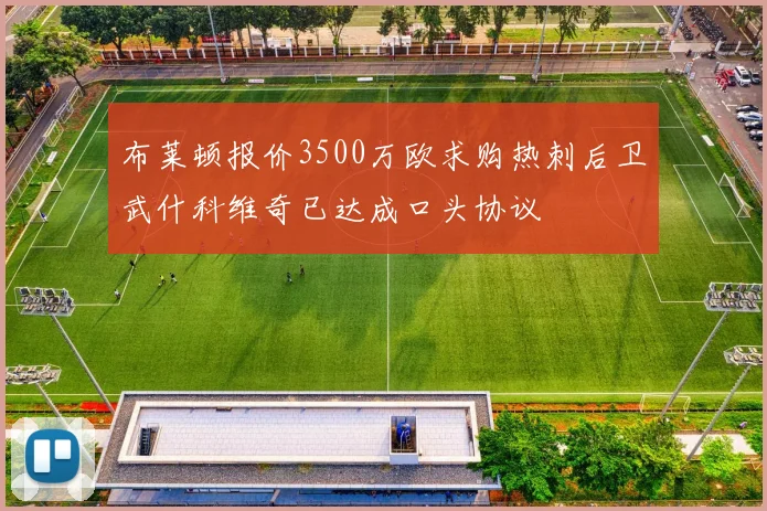 布莱顿报价3500万欧求购热刺后卫武什科维奇已达成口头协议