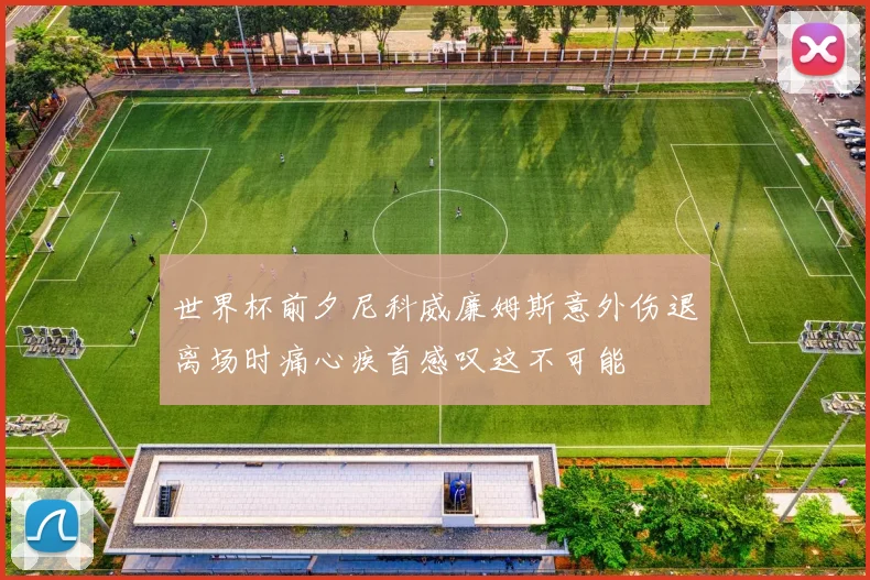 世界杯前夕尼科威廉姆斯意外伤退离场时痛心疾首感叹这不可能