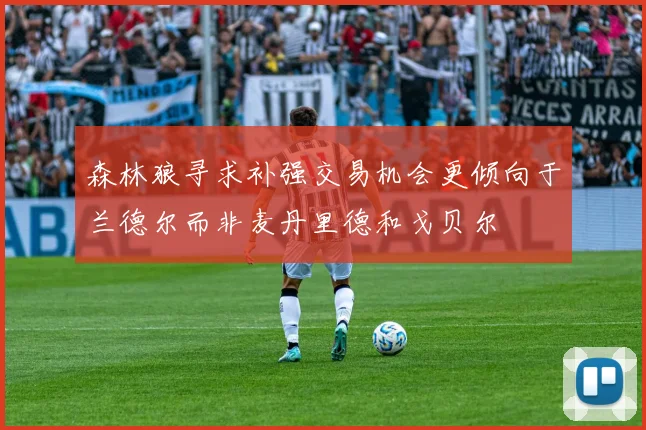 森林狼寻求补强交易机会更倾向于兰德尔而非麦丹里德和戈贝尔